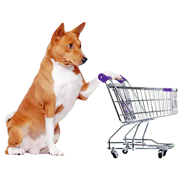 YOUR CART IS EMPTY