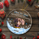 Custom Photo If Love Could Have Saved You Pet Memorial - Personalized Circle Acrylic Ornament