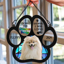 Custom Photo Memorial I Crossed The Rainbow Bridge Knowing I Was Loved - Personalized Window Hanging Suncatcher Ornament