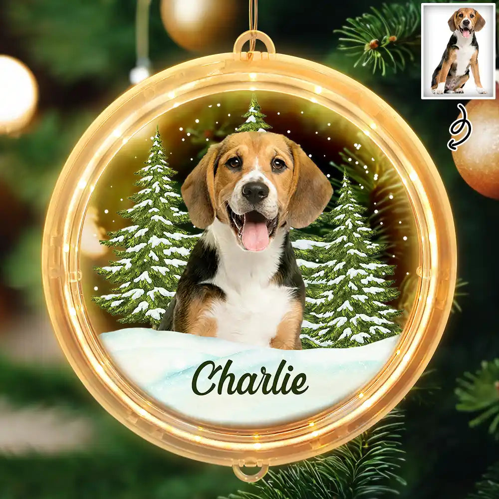 Custom Photo Pet Face - Personalized LED Pendant Light
