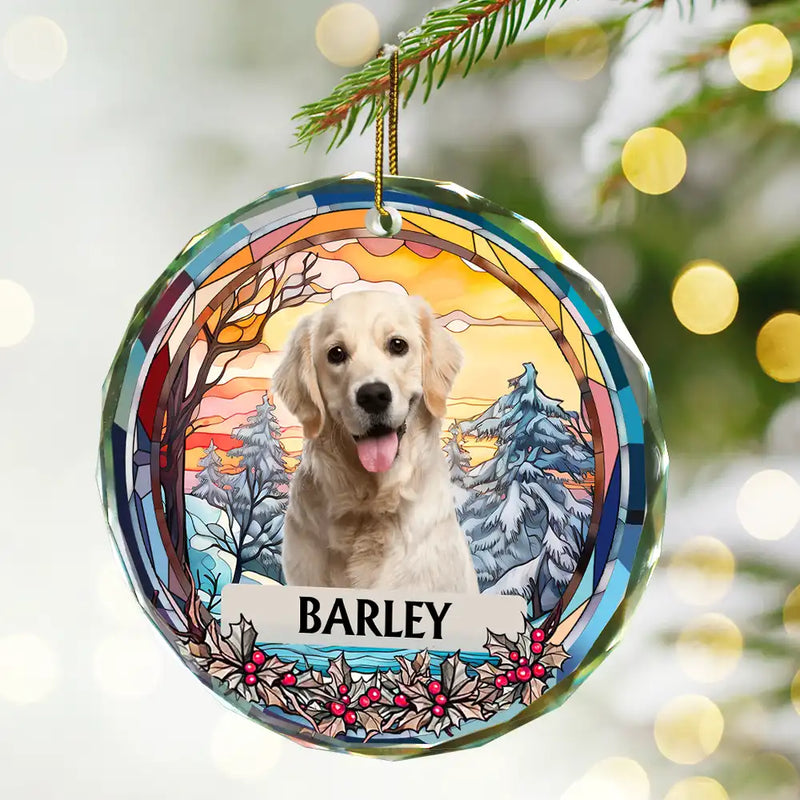 Custom Photo Family Dog Cat Christmas Memorial - Personalized Circle Glass Ornament