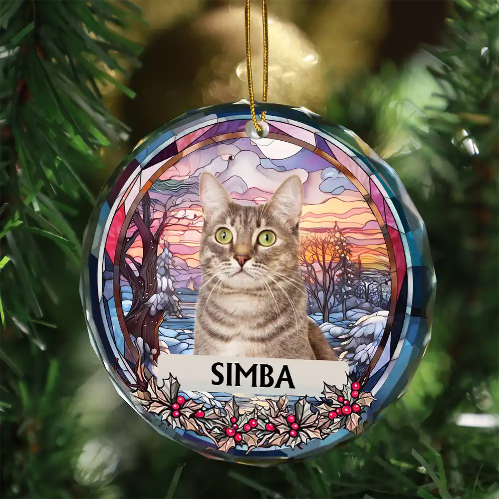 Custom Photo Family Dog Cat Christmas Memorial - Personalized Circle Glass Ornament