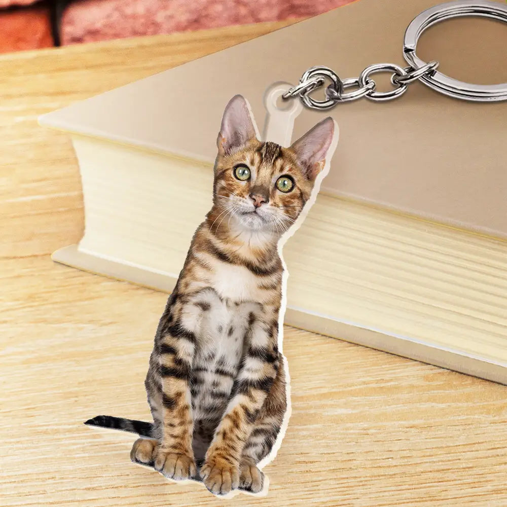 Pet Lovers, Dog Lovers, Cat Lovers - Custom Photo Every Day Is Brighter With My Furry Friend By My Side - Personalized Cutout Acrylic Keychain