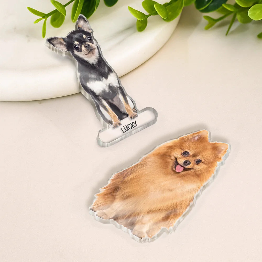 Pet Lovers, Dog Lovers, Cat Lovers - Custom Photo Adorable Dog Cat With Name - Personalized Acrylic Fridge Magnet