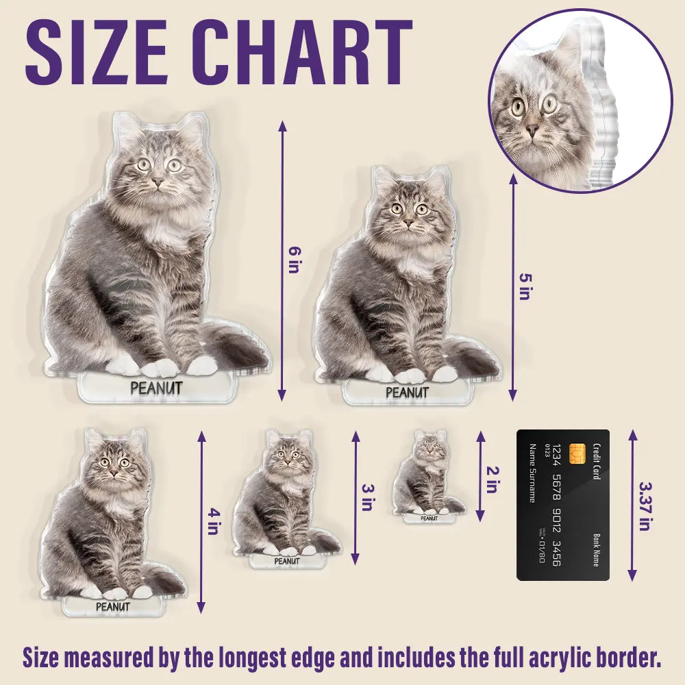 Pet Lovers, Dog Lovers, Cat Lovers - Custom Photo Adorable Dog Cat With Name - Personalized Acrylic Fridge Magnet