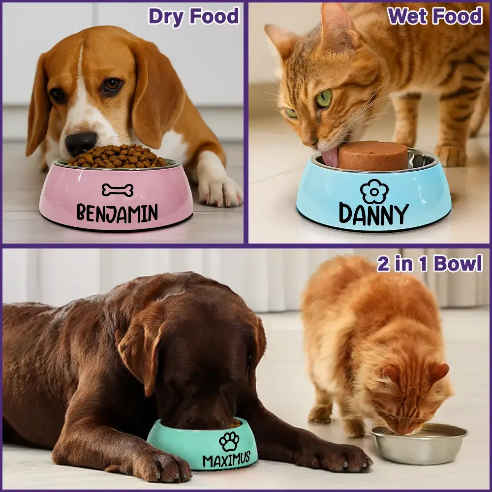 Cute Dog Cat Name With Icons - Personalized Removable Stainless Steel Pet Bowl