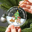 Xmas Funny Cartoon Cats On The Naughty List - Personalized Circle Glass Ornament