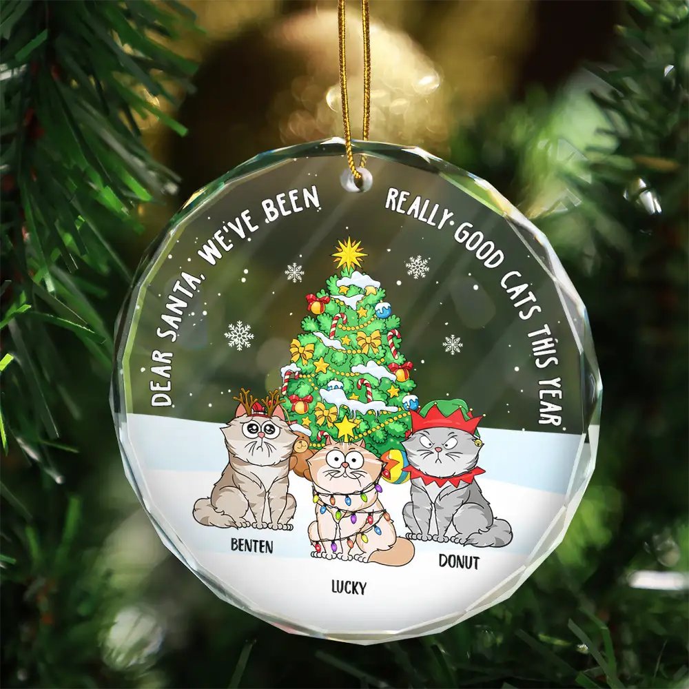 Xmas Funny Cartoon Cats On The Naughty List - Personalized Circle Glass Ornament