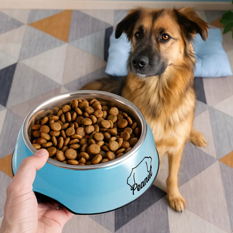 Pet Lovers,Pet Mom,Pet Dad,Dog Lovers,Cat Lovers-Dog And Cat Ear Line Art With Name - Personalized Removable Stainless Steel Pet Bowl