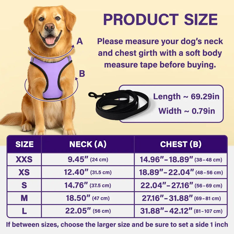 Classic Argyle Check With Paw And Name - Personalized Dog Harness Vest And Leash Set