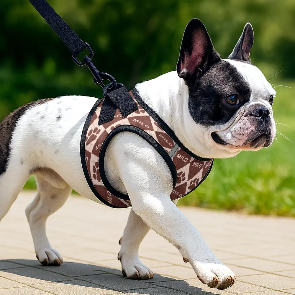 Classic Argyle Check With Paw And Name - Personalized Dog Harness Vest And Leash Set