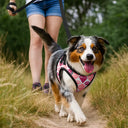 Classic Argyle Check With Paw And Name - Personalized Dog Harness Vest And Leash Set