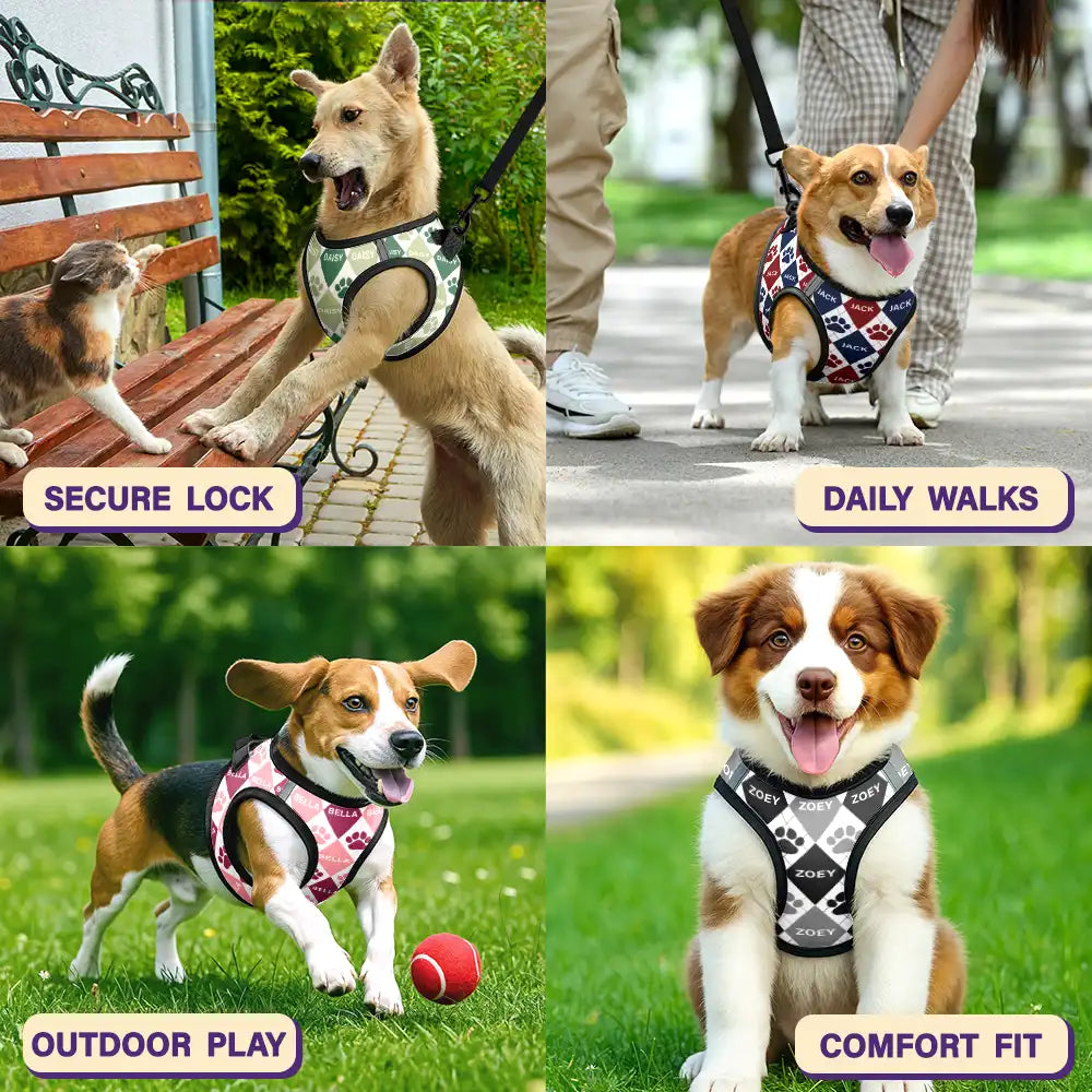 Classic Argyle Check With Paw And Name - Personalized Dog Harness Vest And Leash Set