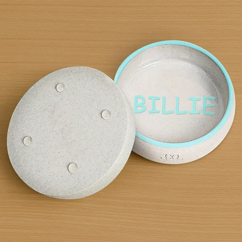 Custom Dog Name In Multicolor - Personalized Pet Bowl