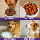 Custom Dog Name In Multicolor - Personalized Pet Bowl
