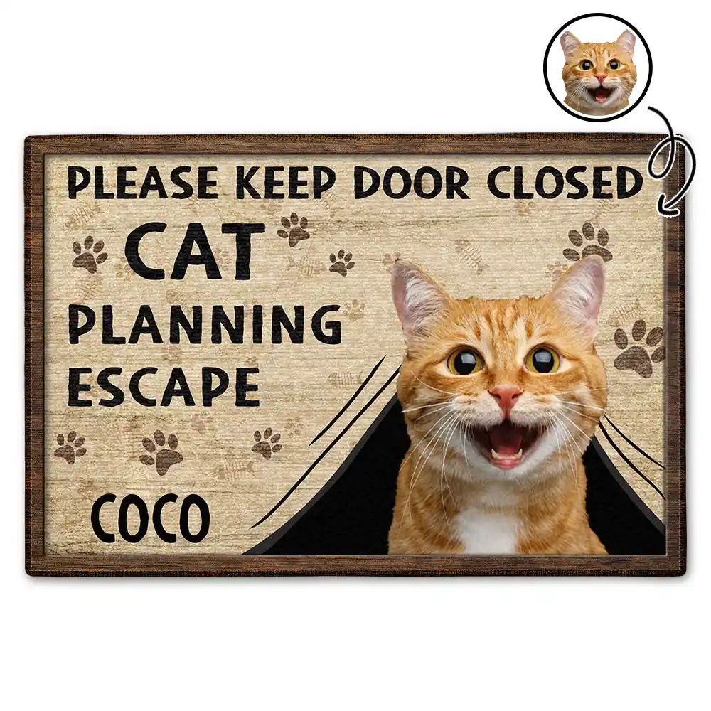 Custom Photo Funny Cats Planning Escape - Personalized Doormat