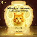 Pet Lovers,Memorial,Custom Photo,Sad - Custom Photo Your Light Will Always Shine In My Heart Pet Memorial - Personalized Custom Shaped Light Box