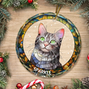 Custom Photo Portrait Pet Family Christmas - Personalized Circle Glass Ornament