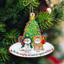On The Naughty List And We Regret Nothing Funny - Christmas Gift For Cat Lovers - Personalized Custom Shaped Wooden Ornament