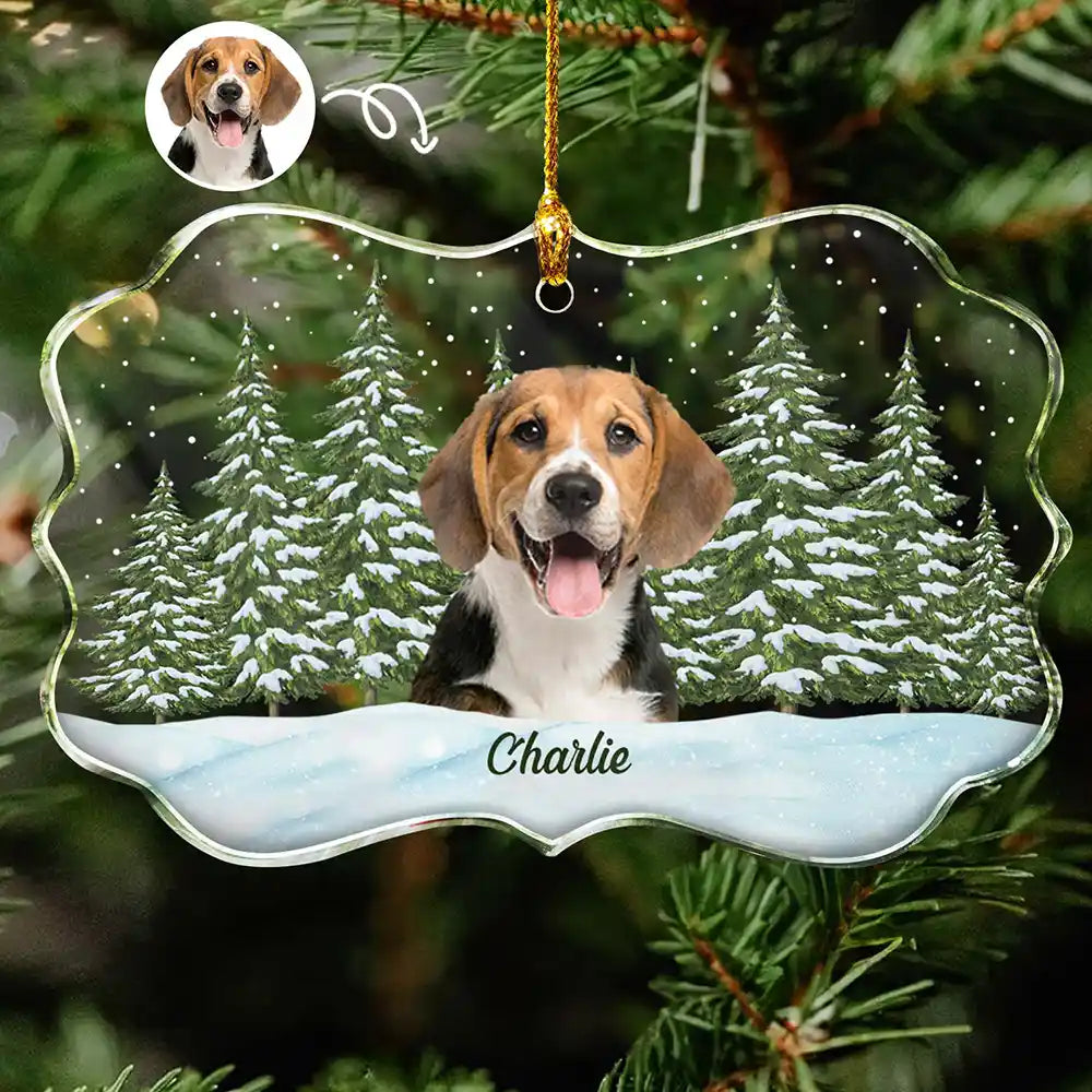 Custom Photo Pet Face Family Dog Cat - Personalized Medallion Glass Ornament