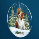 Custom Photo Pet Face - Christmas Gift For Pet Lovers, Pet Memorial - Personalized Circle Acrylic Ornament