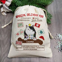Special Delivery From Cute Santa Paws - Personalized Favor Bag