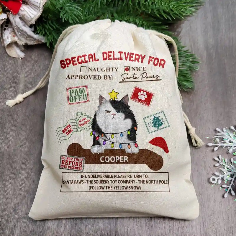 Special Delivery From Cute Santa Paws - Personalized Favor Bag