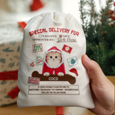 Special Delivery From Cute Santa Paws - Personalized Favor Bag