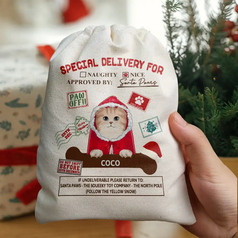 Special Delivery From Cute Santa Paws - Personalized Favor Bag