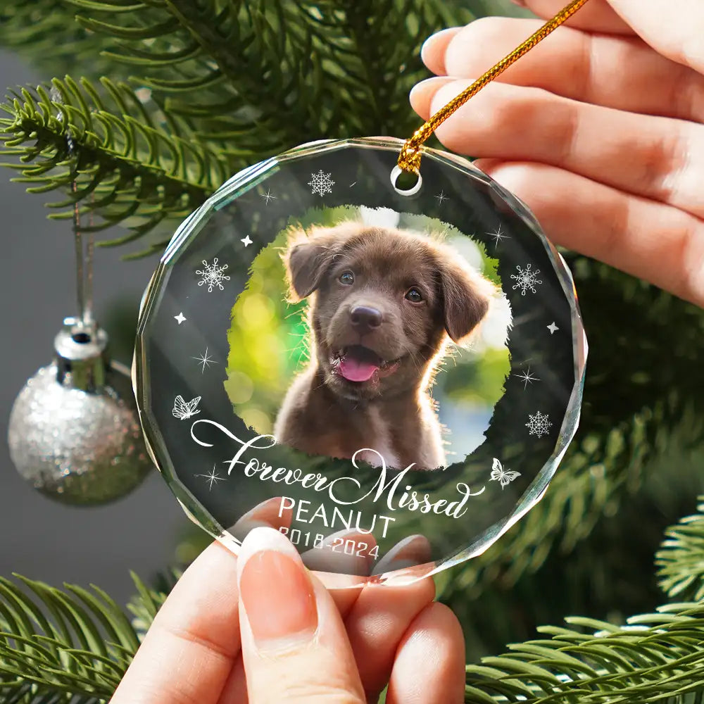 Custom Photo Memorial Pet Loss Keepsake - Personalized Circle Glass Ornament