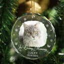 Custom Photo Memorial Pet Loss Keepsake - Personalized Circle Glass Ornament