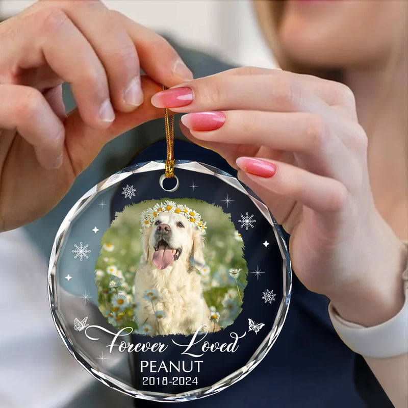 Custom Photo Memorial Pet Loss Keepsake - Personalized Circle Glass Ornament
