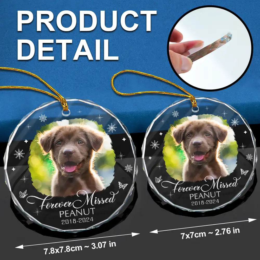 Custom Photo Memorial Pet Loss Keepsake - Personalized Circle Glass Ornament