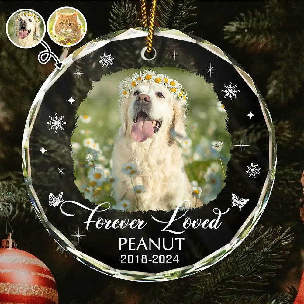 Custom Photo Memorial Pet Loss Keepsake - Personalized Circle Glass Ornament