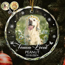 Custom Photo Memorial Pet Loss Keepsake - Personalized Circle Glass Ornament