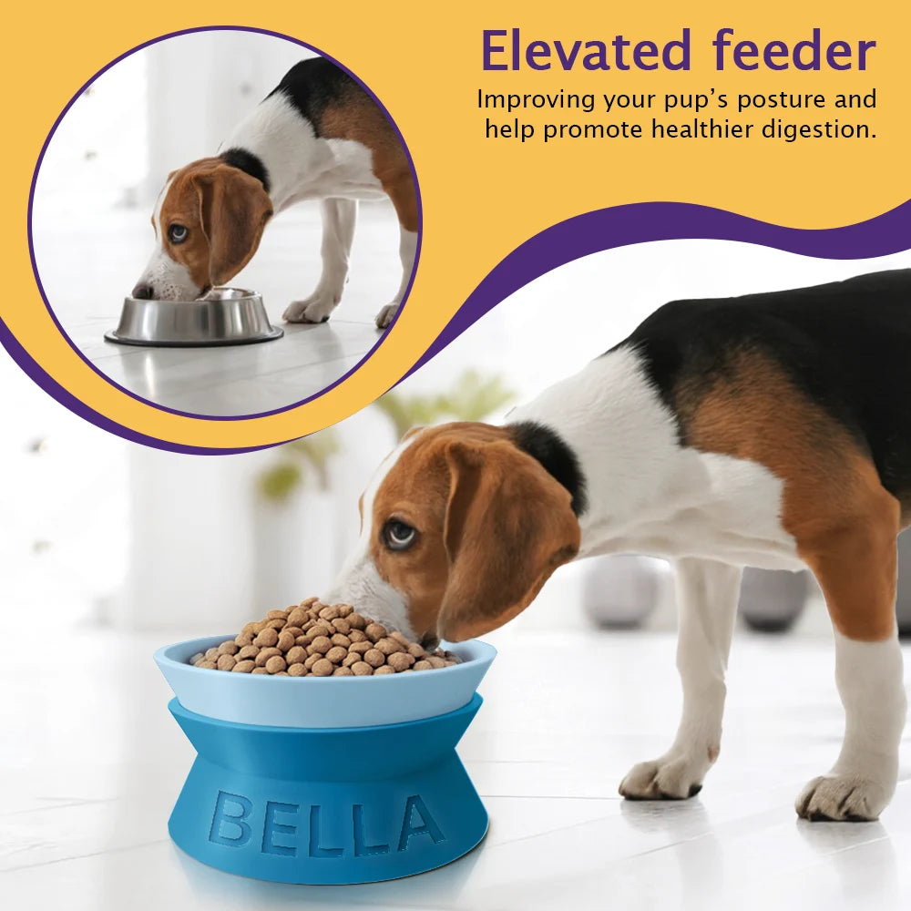 Pet Lovers, Pet Mom, Pet Dad - Dog Cat Name Raised Feeder - Personalized Elevated Pet Bowl