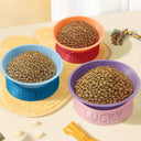 Pet Lovers, Pet Mom, Pet Dad - Dog Cat Name Raised Feeder - Personalized Elevated Pet Bowl