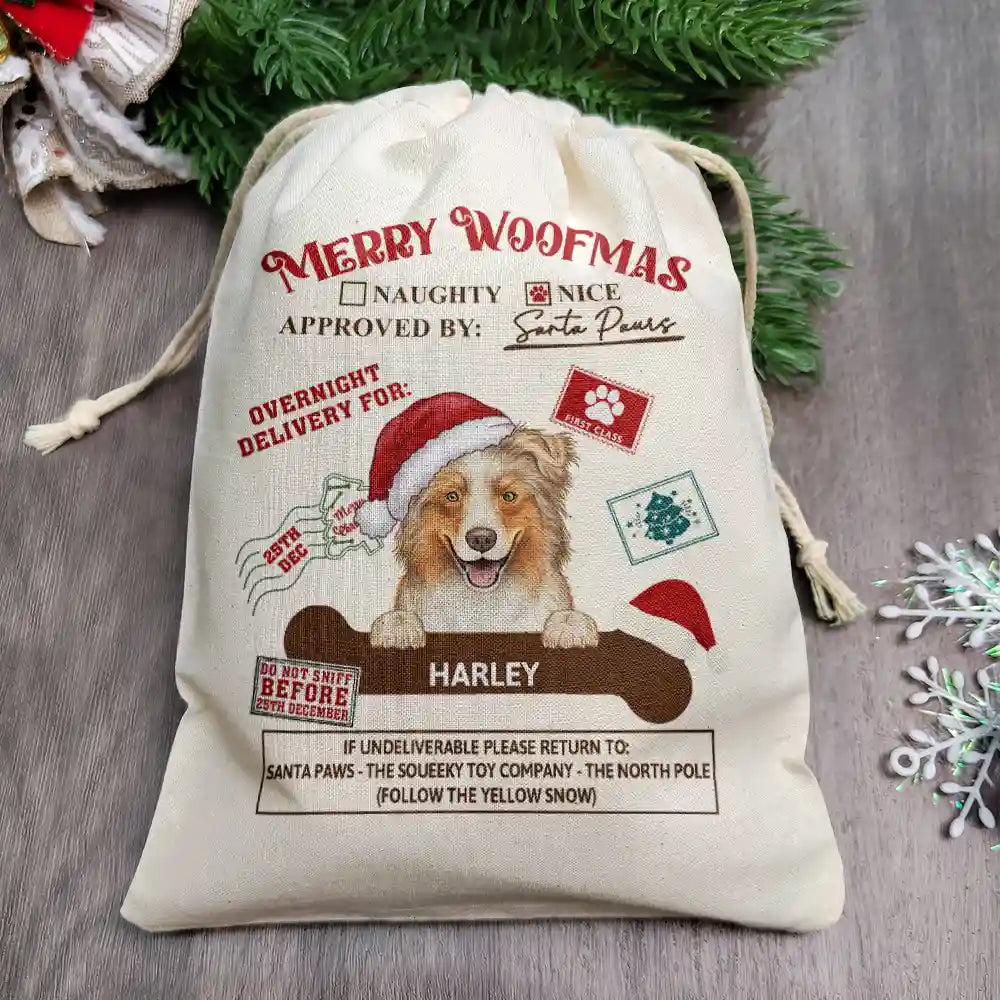 Overnight Delivery From Cute Santa Paws - Personalized Favor Bag