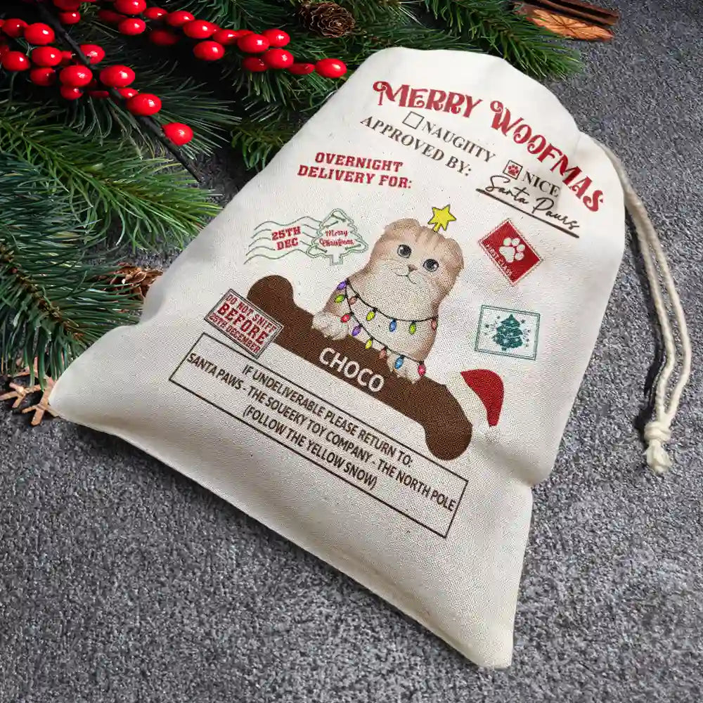 Overnight Delivery From Cute Santa Paws - Personalized Favor Bag