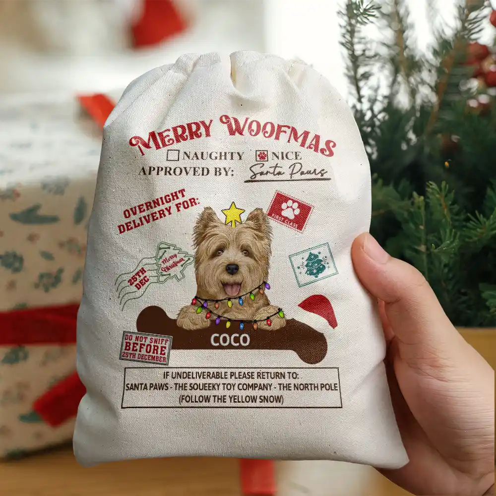 Overnight Delivery From Cute Santa Paws - Personalized Favor Bag