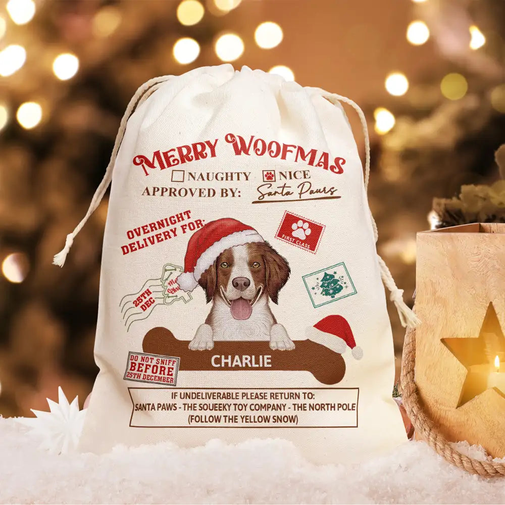 Overnight Delivery From Cute Santa Paws - Personalized Favor Bag