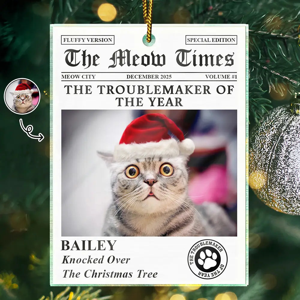 Custom Photo The Meow Times The Dog Times - Personalized Custom Shaped Acrylic Ornament