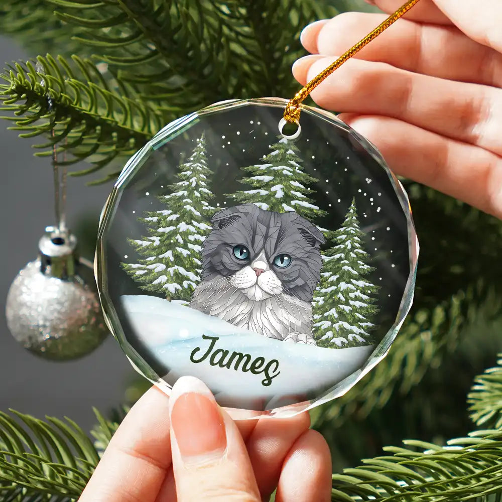 Best Friend For Life Christmas Pet Memorial - Personalized Circle Glass Ornament