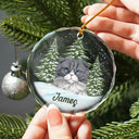 Best Friend For Life Christmas Pet Memorial - Personalized Circle Glass Ornament
