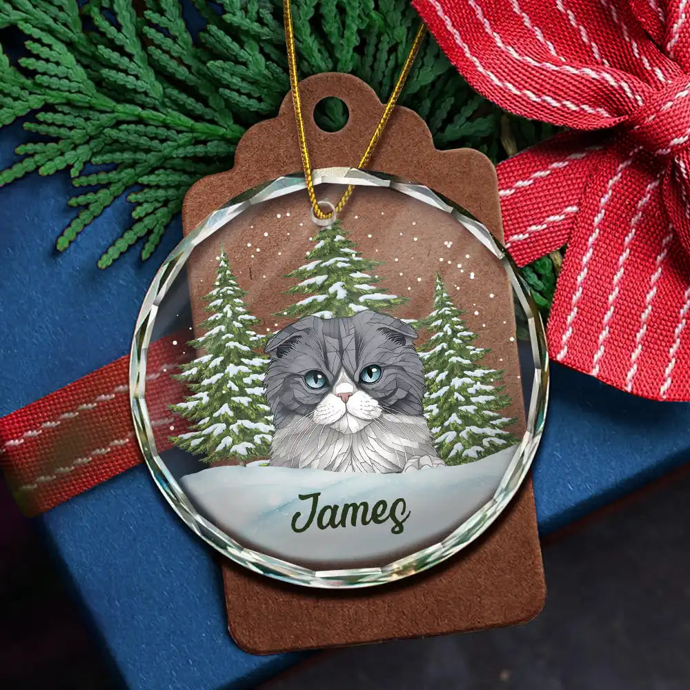 Best Friend For Life Christmas Pet Memorial - Personalized Circle Glass Ornament
